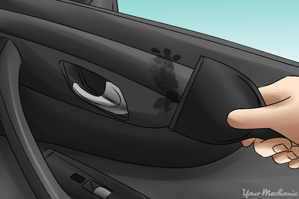 How To Remove Moldy Smell From Car